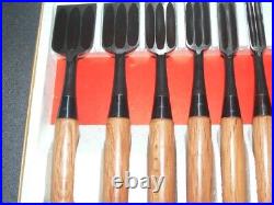 Keiju Oire Nomi Japanese Bench Chisels Set of 10 Multi Hollows Ura Black Finish