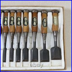 Keiju Oire Nomi Japanese Bench Chisels Set of 10 WithBox Used