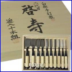 Keiju Oire Nomi Japanese Bench Chisels White oak White Steel #2 Set of 10 New