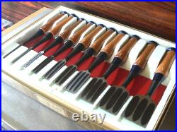 Keiju Oire Nomi Set of 10 Japanese Bench Chisels Multi Hollows Ura Red Oak