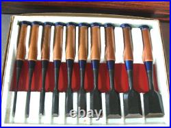 Keiju Oire Nomi Set of 10 Japanese Bench Chisels Multi Hollows Ura Red Oak