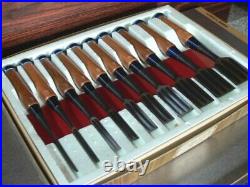 Keiju Oire Nomi Set of 10 Japanese Bench Chisels Multi Hollows Ura Red Oak