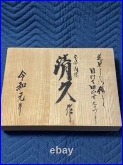 Kiyohisa Watanabe kiyoe Japanese Bench Chisels Oire Nomi Set of 10 Unused