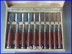 Koshihiko Oire Nomi Japanese Bench Chisel Set of 10 Polished / Migaki Finish
