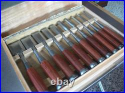 Koshihiko Oire Nomi Japanese Bench Chisel Set of 10 Polished / Migaki Finish