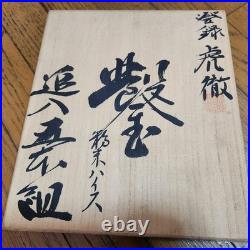 Kotetsu Oire Nomi Japanese Bench Chisels High Speed Steel Set of 5 New