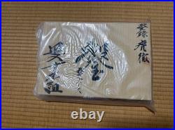 Kotetsu Oire Nomi Japanese Bench Chisels Set of 10 Powder High Speed Steel New