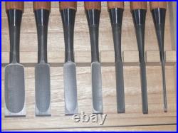 Kunikei Ikeda Yoshiro Oire Nomi Japanese Bench Chisel Set of 10 Red oak Unused