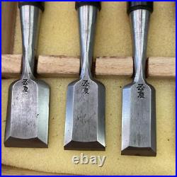 Kunikei Mini Oire Nomi Japanese Bench Chisel Set of 10 Polished White Steel Kunikei Mini Oire Nomi Japanese Bench Chisel Set of 10 Polished White Steel