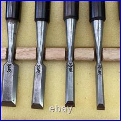 Kunikei Mini Oire Nomi Japanese Bench Chisel Set of 10 Polished White Steel Kunikei Mini Oire Nomi Japanese Bench Chisel Set of 10 Polished White Steel