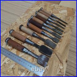 Lot of 10 Japanese Oire Nomi Bench Chisels 1-14 Bu Kyugoro & Others with Case