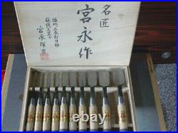 Miyanaga Teruo Hiramaru Oire Nomi Japanese Bench Chisels White Steel Set of 10