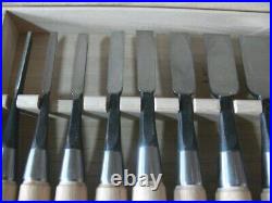 Miyanaga Teruo Hiramaru Oire Nomi Japanese Bench Chisels White Steel Set of 10