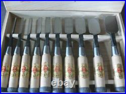 Miyanaga Teruo Hiramaru Oire Nomi Japanese Bench Chisels White Steel Set of 10