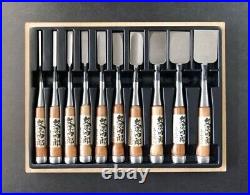 Monjushiro Oire Nomi Japanese Bench Chisels Mentori Set of 10 Red Oak Used