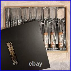 Monjushiro Oire Nomi Japanese Bench Chisels Set of 10 Mentori Red Oak Used