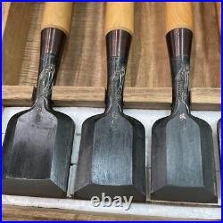 Nagahiro Oire Nomi Japanese Bench Chisels Set of 15 Dragon Sculpture From Japan
