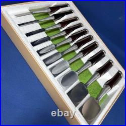 Nagayuki Japanese Dovetail Bench Chisels / Oire Nomi Set of 10 Polished Used