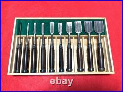 Nishikiryu Japanese Bench Chisels Oire Nomi 10pc Set Wood Grain Pattern withBox