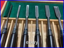 Nishikiryu Japanese Bench Chisels Oire Nomi 10pc Set Wood Grain Pattern withBox