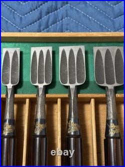 Nishikiryu Oire Nomi Set of 10 Japanese Bench Chisels Wood Grain Design with Box