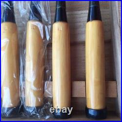 Nomi Japanese Chisels Set of 10 Funahiro Oire carpenter tools