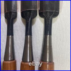 Nomikachi Oire Nomi Japanese Bench Chisel Set 5pc Special Grade Vintage