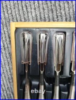 Nomikatsu Oire Nomi Japanese Bench Chisel Mulch Hollows Ura Set of 10 Used