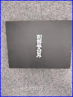 Nomikatsu Oire Nomi Japanese Bench Chisel Mulch Hollows Ura Set of 10 Used