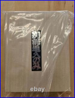 Nomikatsu Oire Nomi Japanese Bench Chisel Red oak Set of 5 Wood Box New