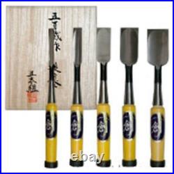 Oire Nomi Professional Carpenter Tool Sou Ioroi 10 Chisels Japanese Gumi 3-42mm