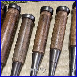 Oire Tataki NOMI Japanese Chisel #356 Lot of 10 Carpentry Sculpture Carved ool