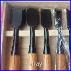 Osahiro Oire Nomi Japanese Vintage Bench Chisels Set of 10 Tanaka Ichiro