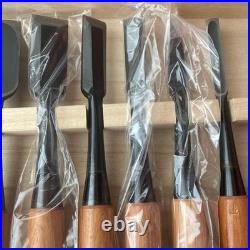Osahiro Oire Nomi Japanese Vintage Bench Chisels Set of 10 Tanaka Ichiro