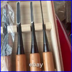 Osahiro Oire Nomi Japanese Vintage Bench Chisels Set of 10 Tanaka Ichiro