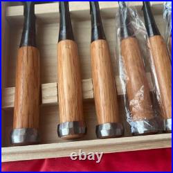 Osahiro Oire Nomi Japanese Vintage Bench Chisels Set of 10 Tanaka Ichiro
