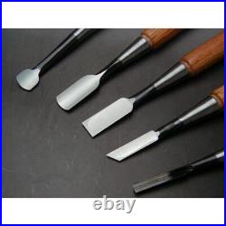Premium Japanese Wood Carving Chisel Small Oire Nomi for Professionals NEW