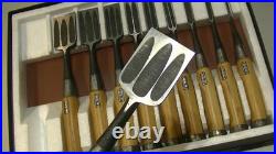 Rare Ishiryu Japanese Chisels Set of 10 Mitsu-Ura Boxwood Handle Oire Nomi JNAT