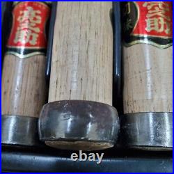 Ryonosuke Japanese Bench chisel Oire Nomi Set of 10 With Box Used