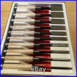 Set of 10 Japanese Bench Chisels/Oire Nomi TAKARARYUJIN
