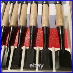 Set of 10 Japanese Bench Chisels/Oire Nomi TAKARARYUJIN
