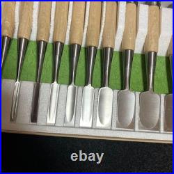 Sukemaru Oire Nomi Japanese Bench Chisels HSS Polished Set of 10 White oak New