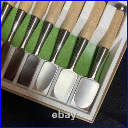 Sukemaru Oire Nomi Japanese Bench Chisels HSS Polished Set of 10 White oak New