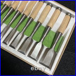 Sukemaru Oire Nomi Japanese Bench Chisels HSS Polished Set of 10 White oak New