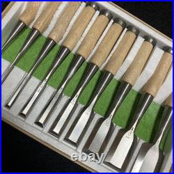Sukemaru Oire Nomi Japanese Bench Chisels HSS Polished Set of 10 White oak New