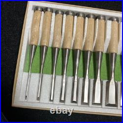 Sukemaru Oire Nomi Japanese Bench Chisels HSS Polished Set of 10 White oak New