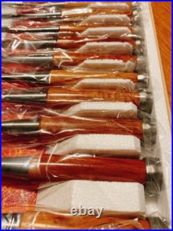 Sukemaru Oire Nomi Japanese Bench Chisels High Speed Steel Set of 10 Red Oak