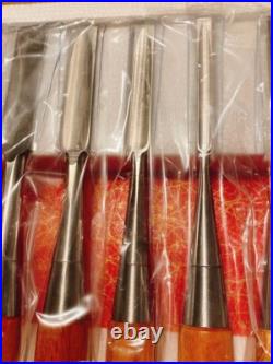 Sukemaru Oire Nomi Japanese Bench Chisels High Speed Steel Set of 10 Red Oak