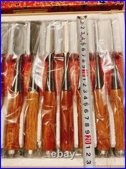 Sukemaru Oire Nomi Japanese Bench Chisels High Speed Steel Set of 10 Red Oak