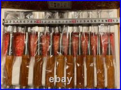 Sukemaru Oire Nomi Japanese Bench Chisels High Speed Steel Set of 10 Red Oak